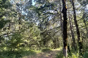 27181 SW Frys Ln, Sheridan, OR 97378 - Photo 37