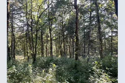 27181 SW Frys Ln, Sheridan, OR 97378 - Photo 39