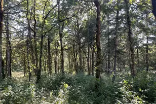 27181 SW Frys Ln, Sheridan, OR 97378 - Photo 39