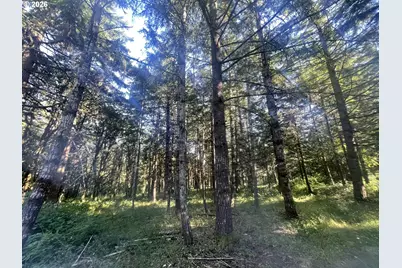 27181 SW Frys Ln, Sheridan, OR 97378 - Photo 35