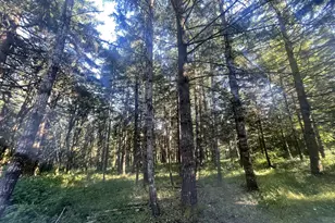 27181 SW Frys Ln, Sheridan, OR 97378 - Photo 35