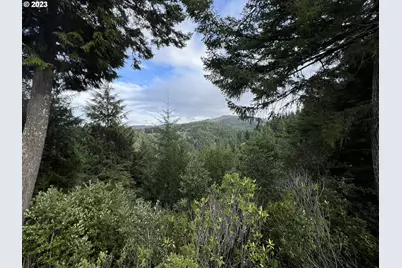 93810 China Mountain Rd, Port Orford, OR 97465 - Photo 21