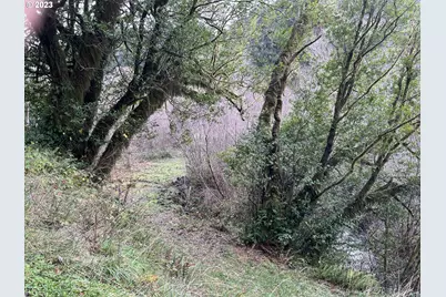 93810 China Mountain Rd, Port Orford, OR 97465 - Photo 29