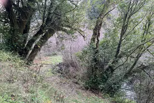 93810 China Mountain Rd, Port Orford, OR 97465 - Photo 29