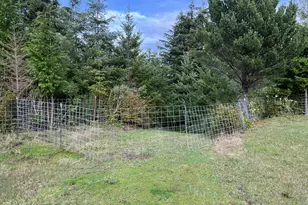 93810 China Mountain Rd, Port Orford, OR 97465 - Photo 27