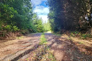 93810 China Mountain Rd, Port Orford, OR 97465 - Photo 25