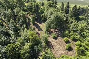 110 N Burke Rd, Woodland, WA 98674 - Photo 1