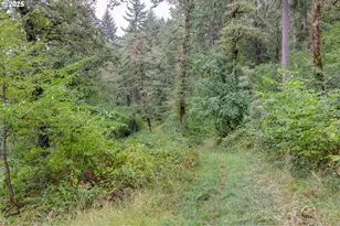 31212 Camas Ln, Eugene, OR 97405 - Photo 43