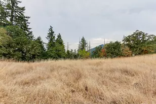 31212 Camas Ln, Eugene, OR 97405 - Photo 41