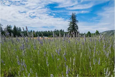 37625 Sunset Ln, Brownsville, OR 97327 - Photo 39