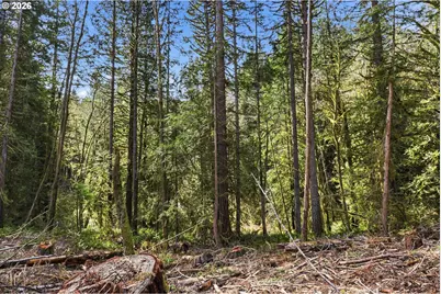 0 NW Green Mountain Rd. #1, Banks, OR 97106 - Photo 13