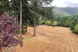 18156 Hwy 36, Blachly, OR 97412 - Photo 35