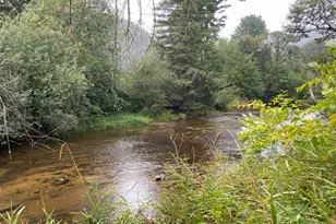 18156 Hwy 36, Blachly, OR 97412 - Photo 41