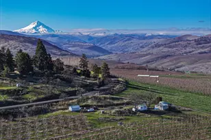 3699 Skyline Rd, The Dalles, OR 97058 - Photo 11
