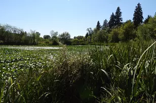 19130 SW 51st Ave, Tualatin, OR 97062 - Photo 41