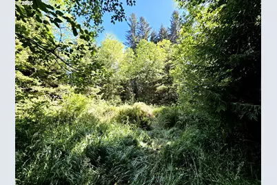 26665 Sebastian Ln, Gold Beach, OR 97444 - Photo 19
