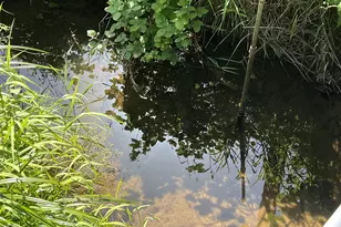 95007 N Way Ln, North Bend, OR 97459 - Photo 19