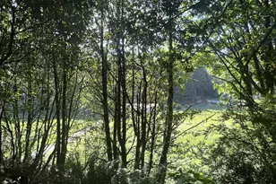 95007 N Way Ln, North Bend, OR 97459 - Photo 13