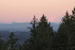 10211 SE Bristol Ln, Happy Valley, OR 97086 - Photo 47