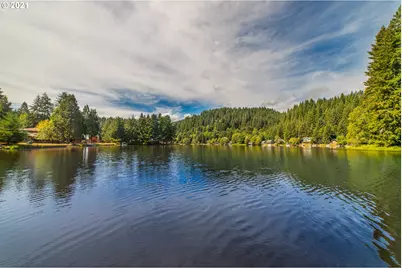 71501 Fishhawk Rd, Birkenfeld, OR 97016 - Photo 3