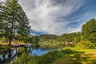 71501 Fishhawk Rd, Birkenfeld, OR 97016 - Photo 5