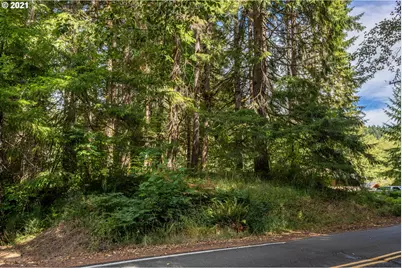 71501 Fishhawk Rd, Birkenfeld, OR 97016 - Photo 9