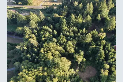 399th, Amboy, WA 98601 - Photo 21