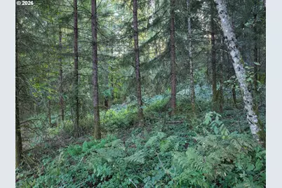 399th, Amboy, WA 98601 - Photo 17