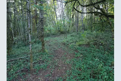 399th, Amboy, WA 98601 - Photo 15
