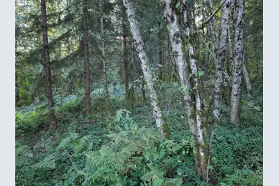 399th, Amboy, WA 98601 - Photo 19