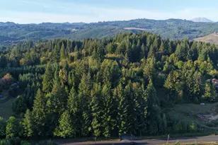 399th, Amboy, WA 98601 - Photo 1