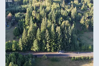 399th, Amboy, WA 98601 - Photo 3