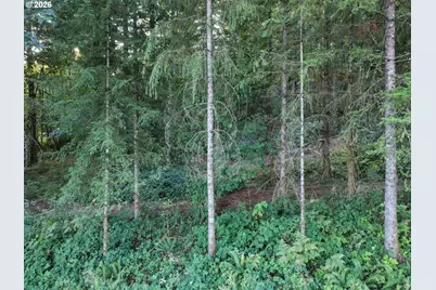 399th, Amboy, WA 98601 - Photo 13