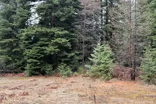00 Hwy 204, Weston, OR 97886 - Photo 1