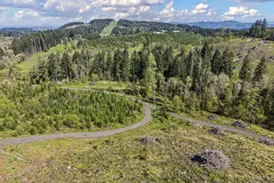 29875 Sodaville Mountain Home Rd, Lebanon, OR 97355 - Photo 47