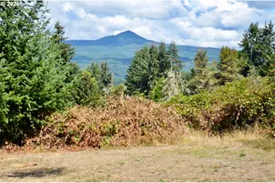 27655 Riggs Hill Rd, Foster, OR 97345 - Photo 23