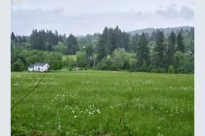 00 NE 389th St, Amboy, WA 98601 - Photo 15