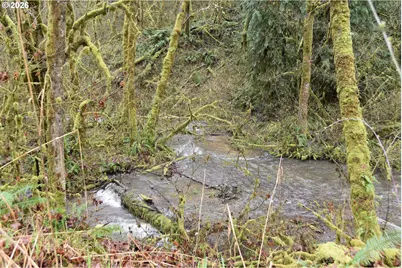 39000 NW Shermans Mill Rd, North Plains, OR 97133 - Photo 33