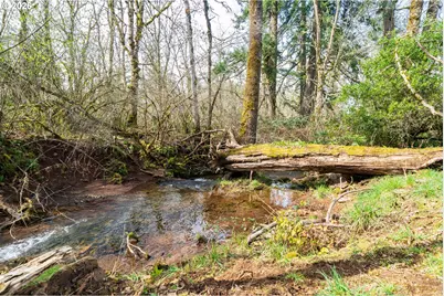 41348 Kingston Lyons Dr SE, Stayton, OR 97383 - Photo 39