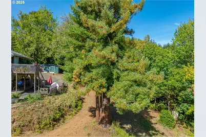 55593 Glen Aiken Creek Rd, Coquille, OR 97423 - Photo 35