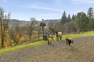 1824 NE Waterfront St, Newberg, OR 97132 - Photo 5