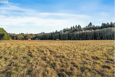 Collins Rd, Toledo, WA 98591 - Photo 21