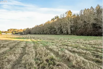 Collins Rd, Toledo, WA 98591 - Photo 17