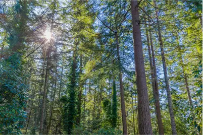 94442 Carlson Heights Ln, North Bend, OR 97459 - Photo 47