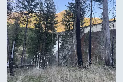 0 Nf-2212, Gates, OR 97346 - Photo 1