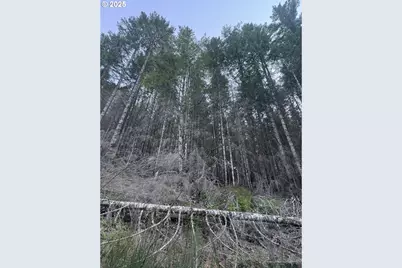 0 Nf-2212, Gates, OR 97346 - Photo 3