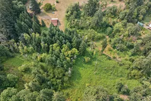 19955 SE Tillstrom Rd, Damascus, OR 97089 - Photo 27