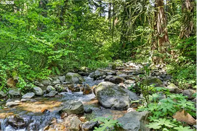 112 Carson Creek Rd, Carson, WA 98610 - Photo 5