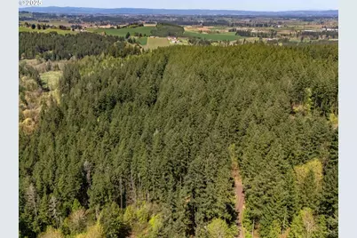 18675 SW Forest Park Rd, Hillsboro, OR 97123 - Photo 11