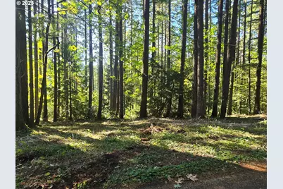 18675 SW Forest Park Rd, Hillsboro, OR 97123 - Photo 1